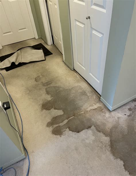 sewer backup coquitlam|Sewer Backup and Cleanup Port Coquitlam.